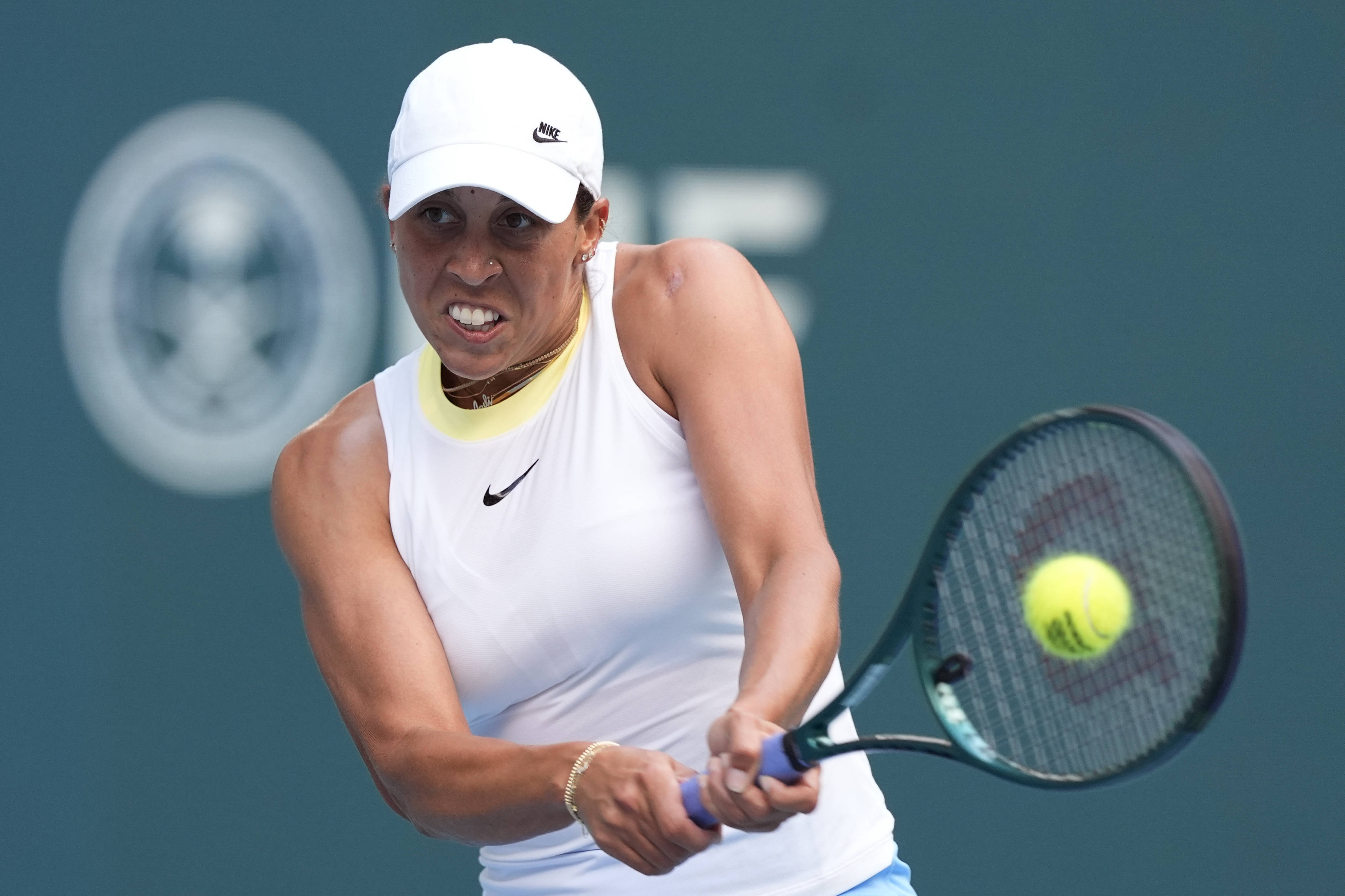 新的高度 新的高度